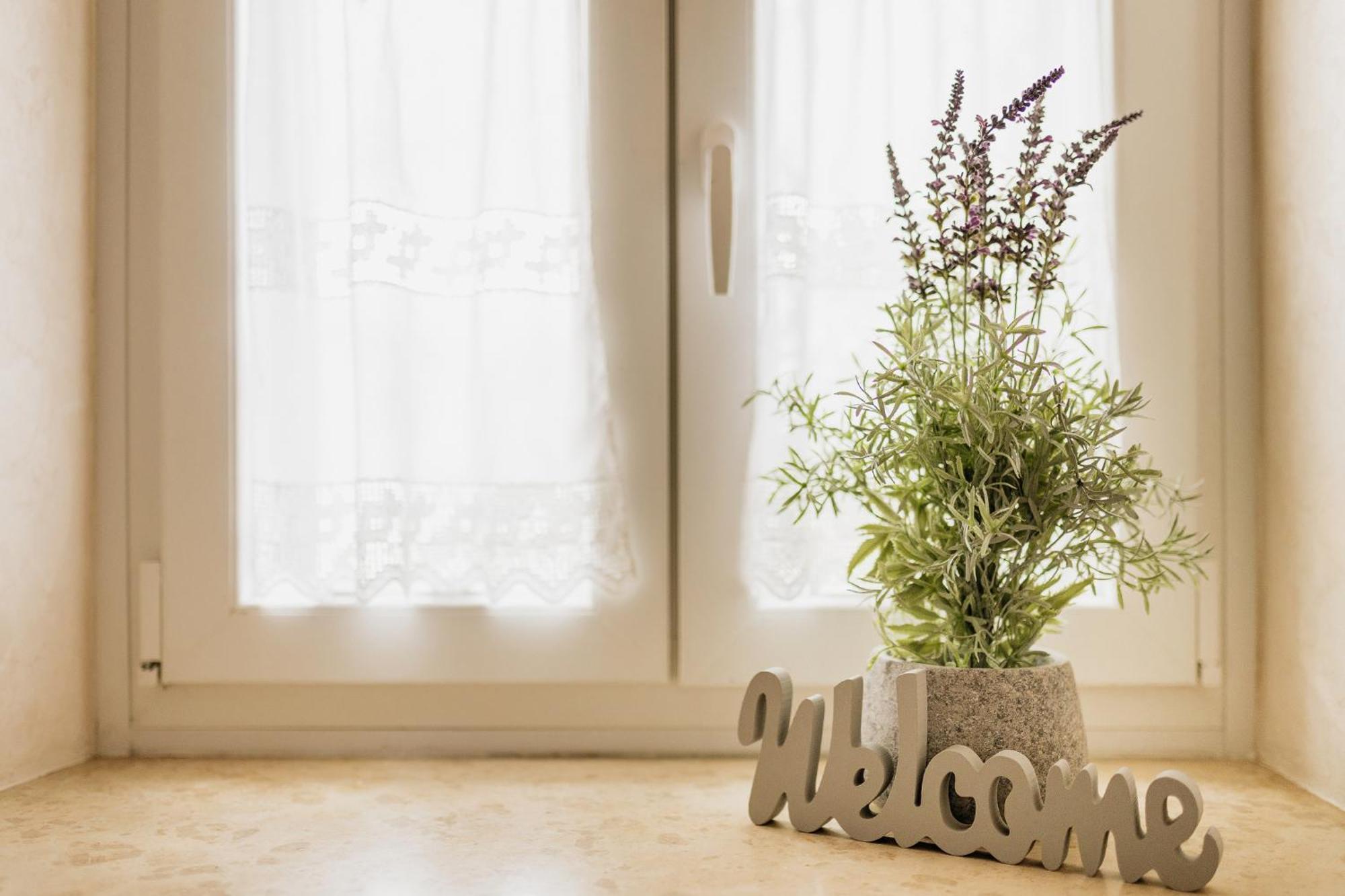 Apartments Mirna Stress Free Babici 외부 사진